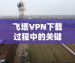 飞塔VPN下载过程中的关键步骤与注意事项