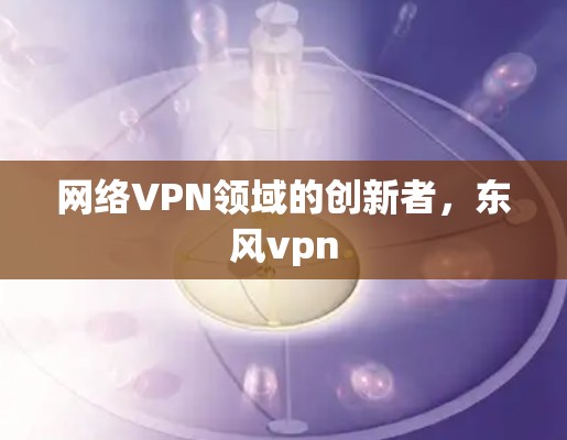 网络VPN领域的创新者，东风vpn