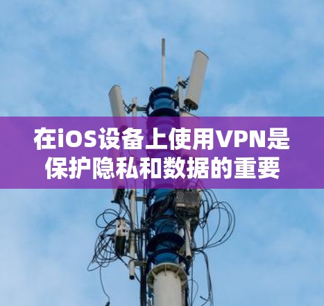 在iOS设备上使用VPN是保护隐私和数据的重要手段。以下是关于iOS上好的VPN的详细信息
