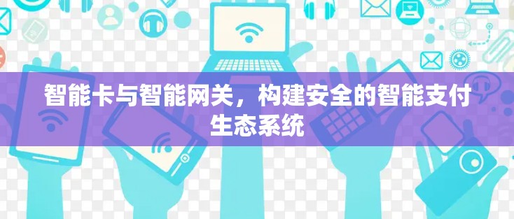 智能卡与智能网关，构建安全的智能支付生态系统