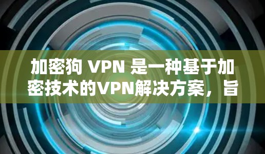加密狗 VPN 是一种基于加密技术的VPN解决方案，旨在提供安全、高效且灵活的网络连接。以下是对加密狗 VPN 的详细分析