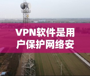 VPN软件是用户保护网络安全的重要工具，以下是使用VPN软件的详细步骤