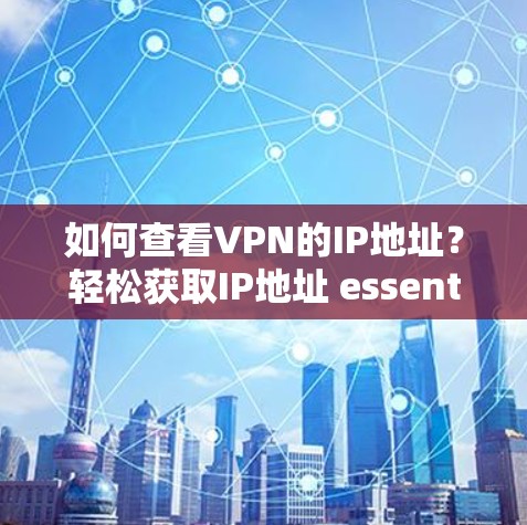 如何查看VPN的IP地址？轻松获取IP地址 essentials