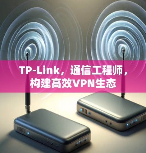 TP-Link，通信工程师，构建高效VPN生态