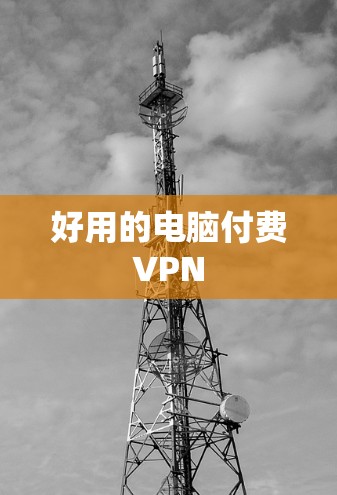 好用的电脑付费VPN