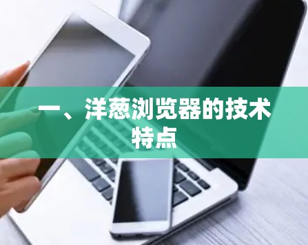 一、洋葱浏览器的技术特点
