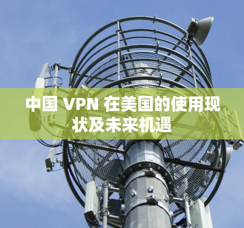 中国 VPN 在美国的使用现状及未来机遇