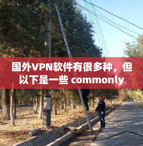 国外VPN软件有很多种,但以下是一些 commonly used VPN software 国外VPN软件有很多种,但以下是一些 commonly used VPN software