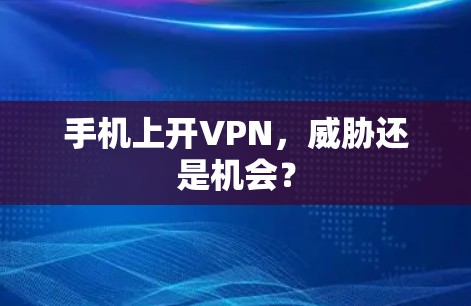 手机上开VPN，威胁还是机会？