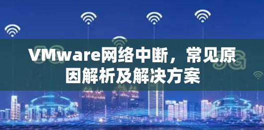 VMware网络中断,常见原因解析及解决方案 VMware网络中断,常见原因解析及解决方案