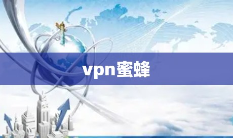 vpn蜜蜂 vpn蜜蜂