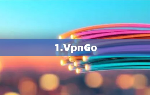 1.VpnGo 1.VpnGo