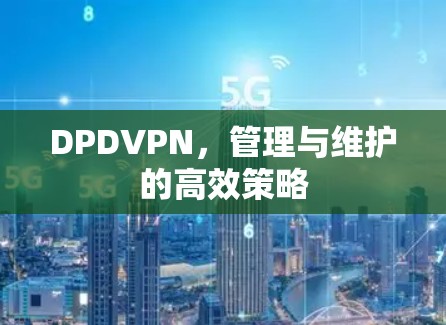 DPDVPN,管理与维护的高效策略 DPDVPN,管理与维护的高效策略