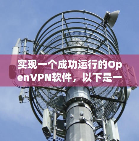 实现一个成功运行的OpenVPN软件，以下是一步步的指南