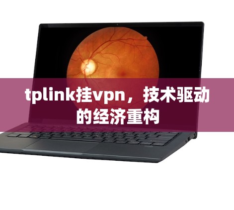 tplink挂vpn，技术驱动的经济重构