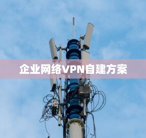 企业网络VPN自建方案 企业网络VPN自建方案