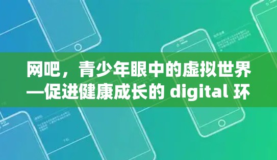网吧，青少年眼中的虚拟世界—促进健康成长的 digital 环境
