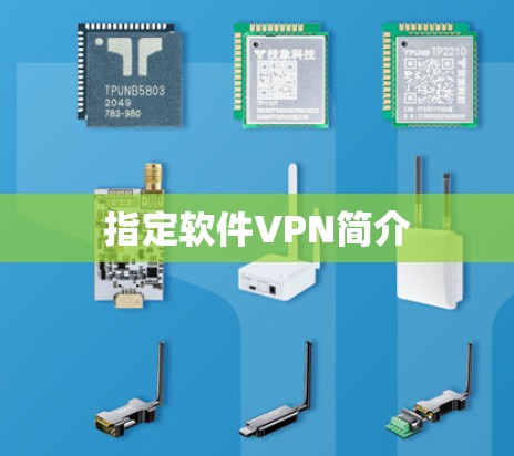 指定软件VPN简介