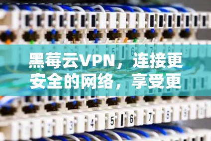 黑莓云VPN,连接更安全的网络,享受更便捷的体验 黑莓云VPN,连接更安全的网络,享受更便捷的体验