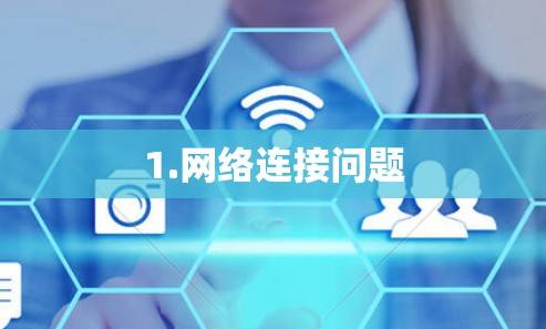 1.网络连接问题