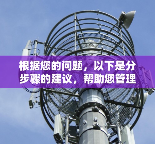 根据您的问题，以下是分步骤的建议，帮助您管理自己的VPN上网行为
