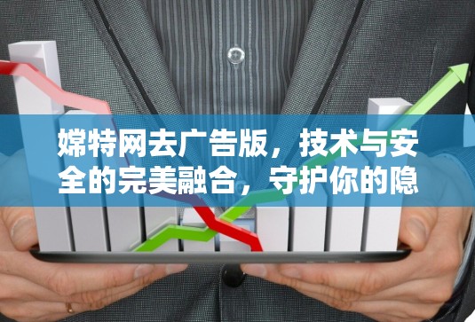 嫦特网去广告版,技术与安全的完美融合,守护你的隐私与安全 嫦特网去广告版,技术与安全的完美融合,守护你的隐私与安全