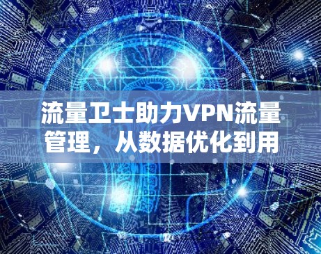 流量卫士助力VPN流量管理,从数据优化到用户保障的全面解决方案 流量卫士助力VPN流量管理,从数据优化到用户保障的全面解决方案
