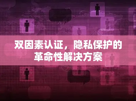 双因素认证，隐私保护的革命性解决方案