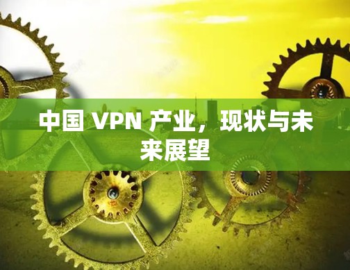 中国 VPN 产业，现状与未来展望