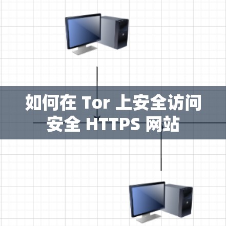 如何在 Tor 上安全访问安全 HTTPS 网站