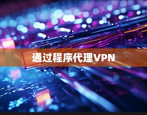 通过程序代理VPN