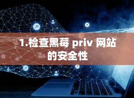 1.检查黑莓 priv 网站的安全性