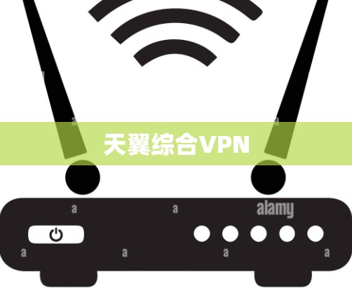 天翼综合VPN
