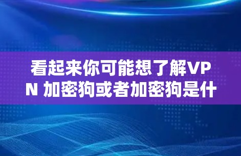 看起来你可能想了解VPN 加密狗或者加密狗是什么。以下是一些可能的解释