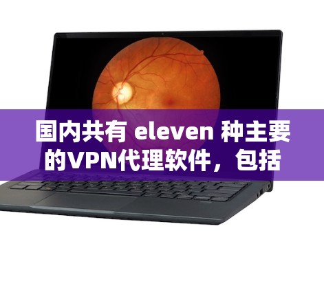国内共有 eleven 种主要的VPN代理软件，包括