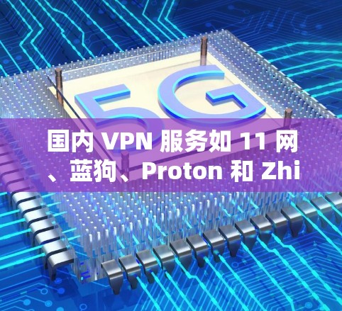 国内 VPN 服务如 11 网、蓝狗、Proton 和 Zhihu，提供了多样化的功能和安全选项，适合中国用户。以下是对这些服务的总结