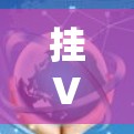 挂VPN是指通过VPN服务连接到国外的网络，用于加密流量或数据。以下是关于挂VPN的详细信息