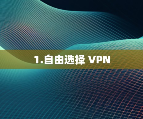 1.自由选择 VPN