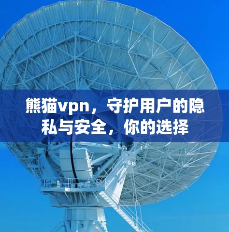 熊猫vpn，守护用户的隐私与安全，你的选择