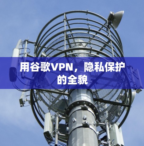 用谷歌VPN，隐私保护的全貌