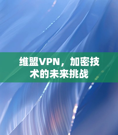 维盟VPN，加密技术的未来挑战