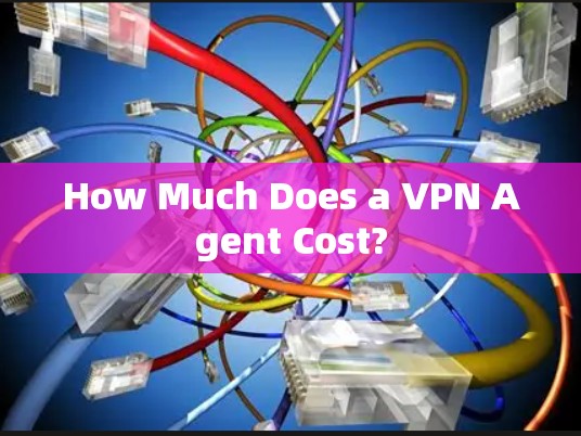 How Much Does a VPN Agent Cost? How Much Does a VPN Agent Cost?
