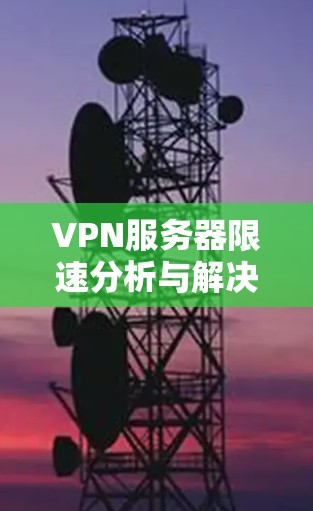 VPN服务器限速分析与解决方案