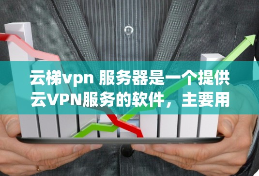 云梯vpn 服务器是一个提供云VPN服务的软件，主要用于提供安全的网络连接。为了构建一个高效的云梯VPN服务器系统，需要从硬件、软件、系统等多个层面进行全面考虑。以下是对各个层面的详细分析和建议