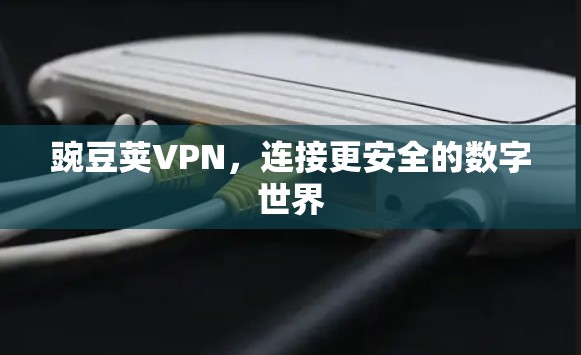 豌豆荚VPN，连接更安全的数字世界