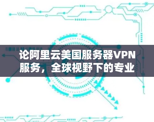 论阿里云美国服务器VPN服务，全球视野下的专业解决方案