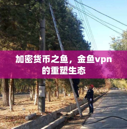 加密货币之鱼，金鱼vpn的重塑生态