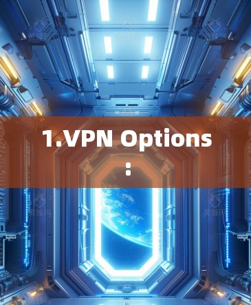 1.<strong>VPN</strong> Options: