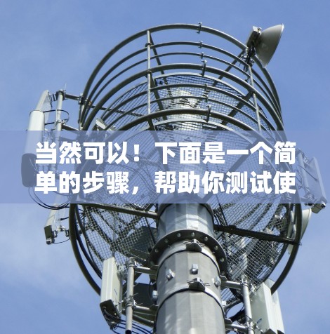 当然可以！下面是一个简单的步骤，帮助你测试使用VPN软件