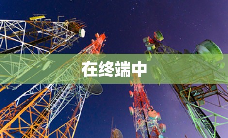 在终端中